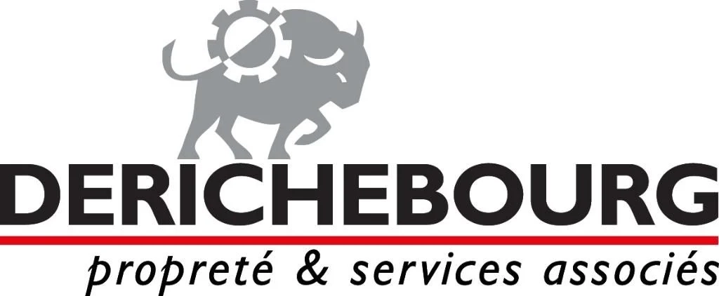 logo derichebourg propreté - formation Excel chez morpheus formation