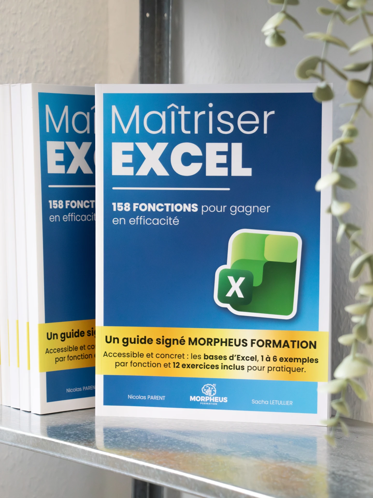 livre Excel complet sur les fonctions