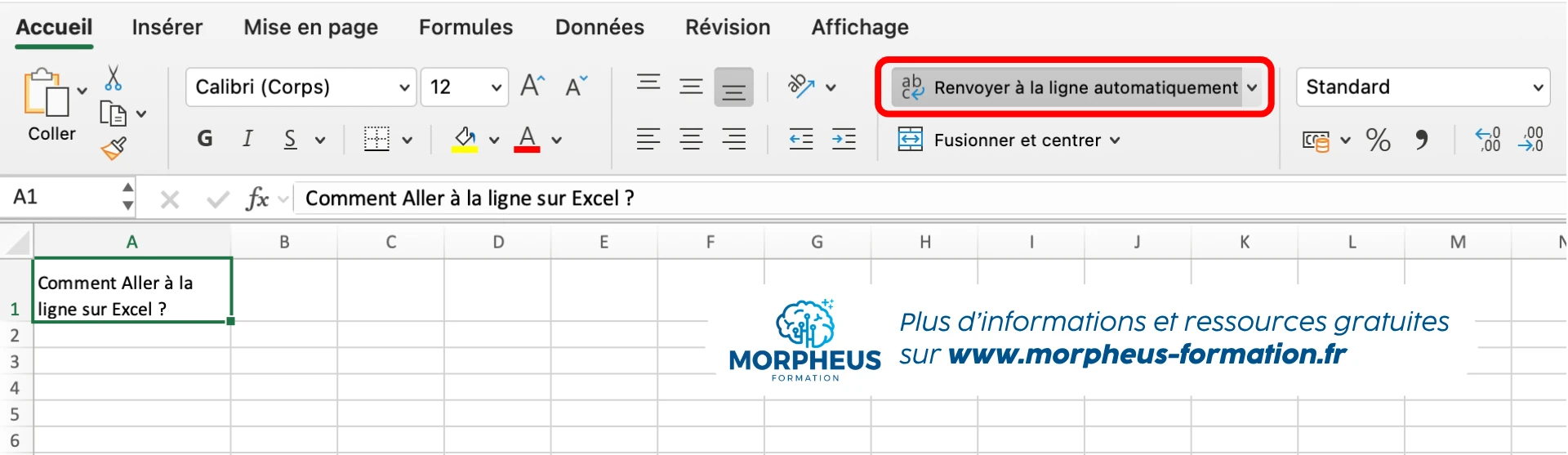 Retour à la ligne automatique sur Excel