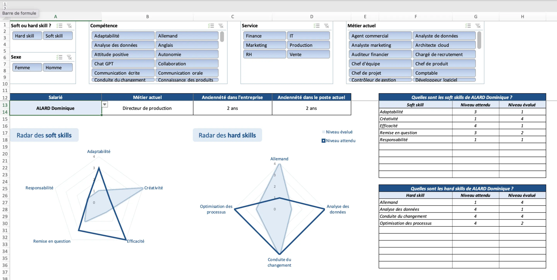 L'outil d'analyse graphique des soft et hard skills