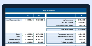 BILAN FONCTIONNEL Excel BILAN FONCTIONNEL Excel
