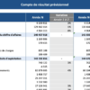 Compte de résultat prévisionnel