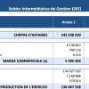 SIG prévisionnels SIG prévisionnels