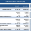 Soldes Intermédiaires de Gestion (SIG) Soldes Intermédiaires de Gestion (SIG)