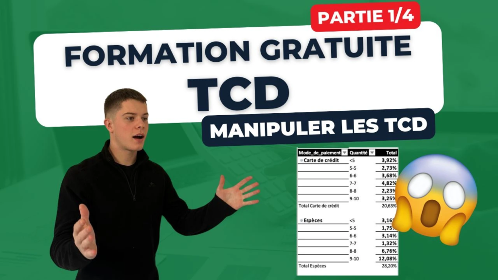 Visuel - Maîtriser les Tableaux Croisés Dynamiques