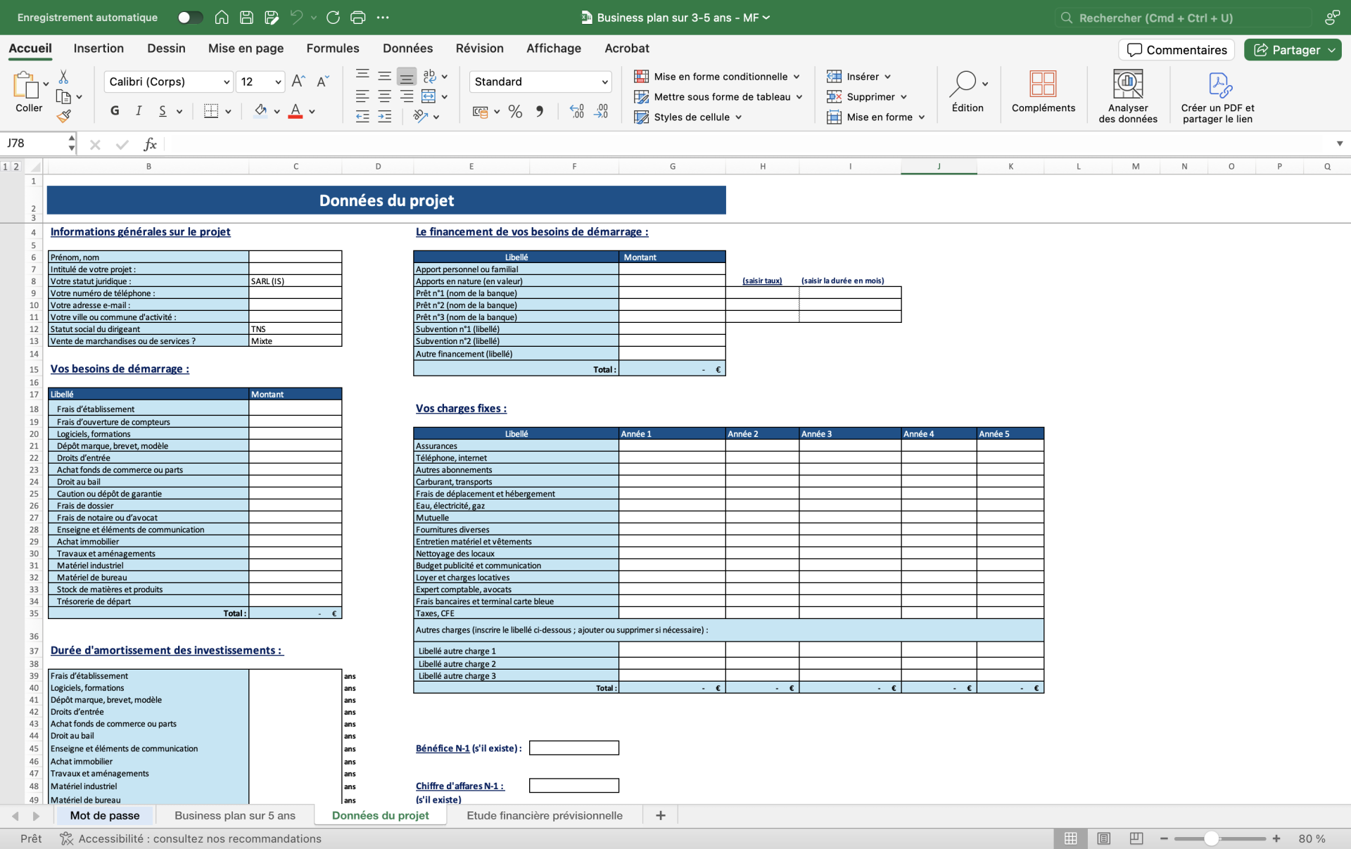 Fichier business plan Excel - Onglet données du projet
