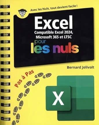 Excel pour les nuls - livre guide