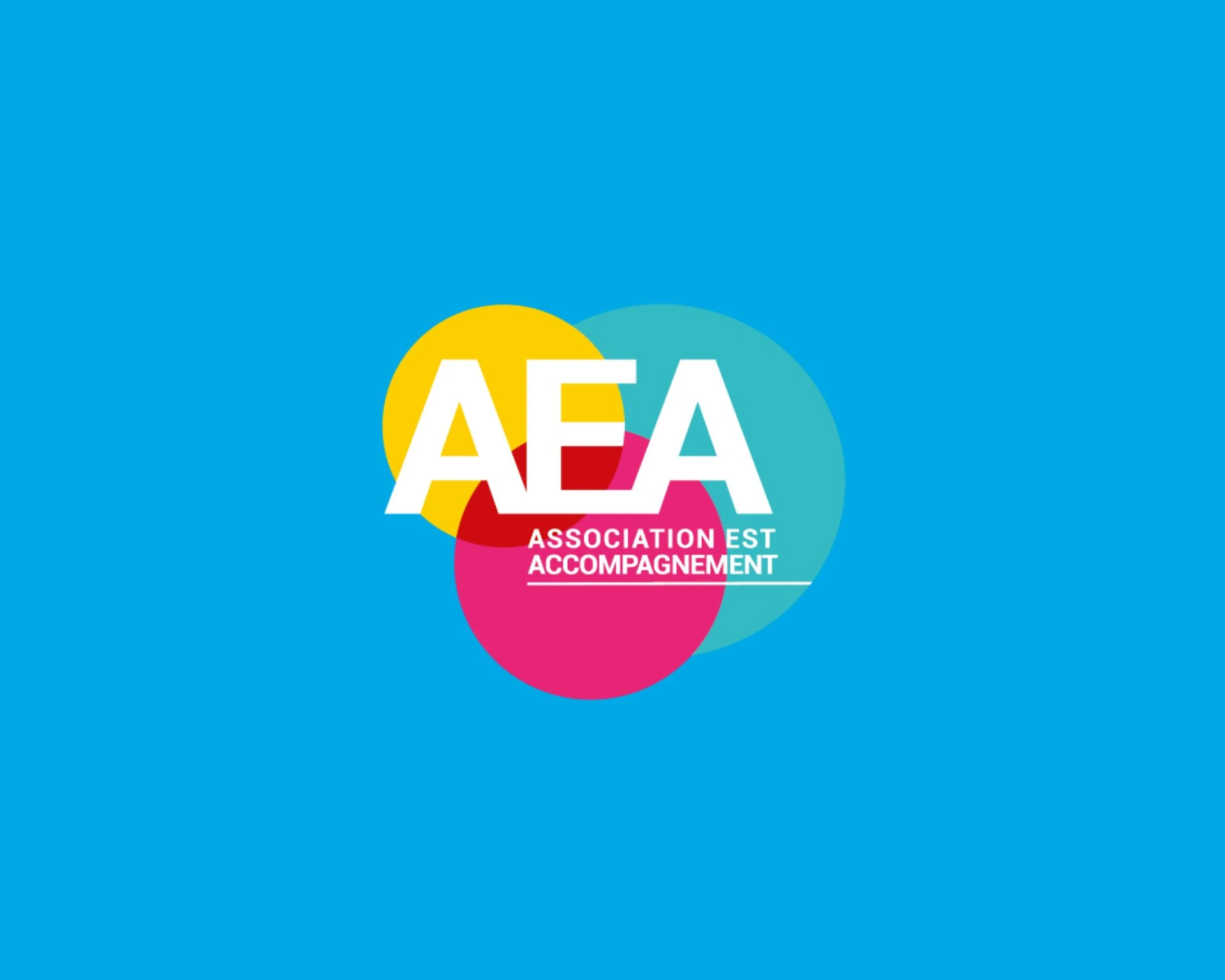 Cas Client Morpheus Formation Metz AEA