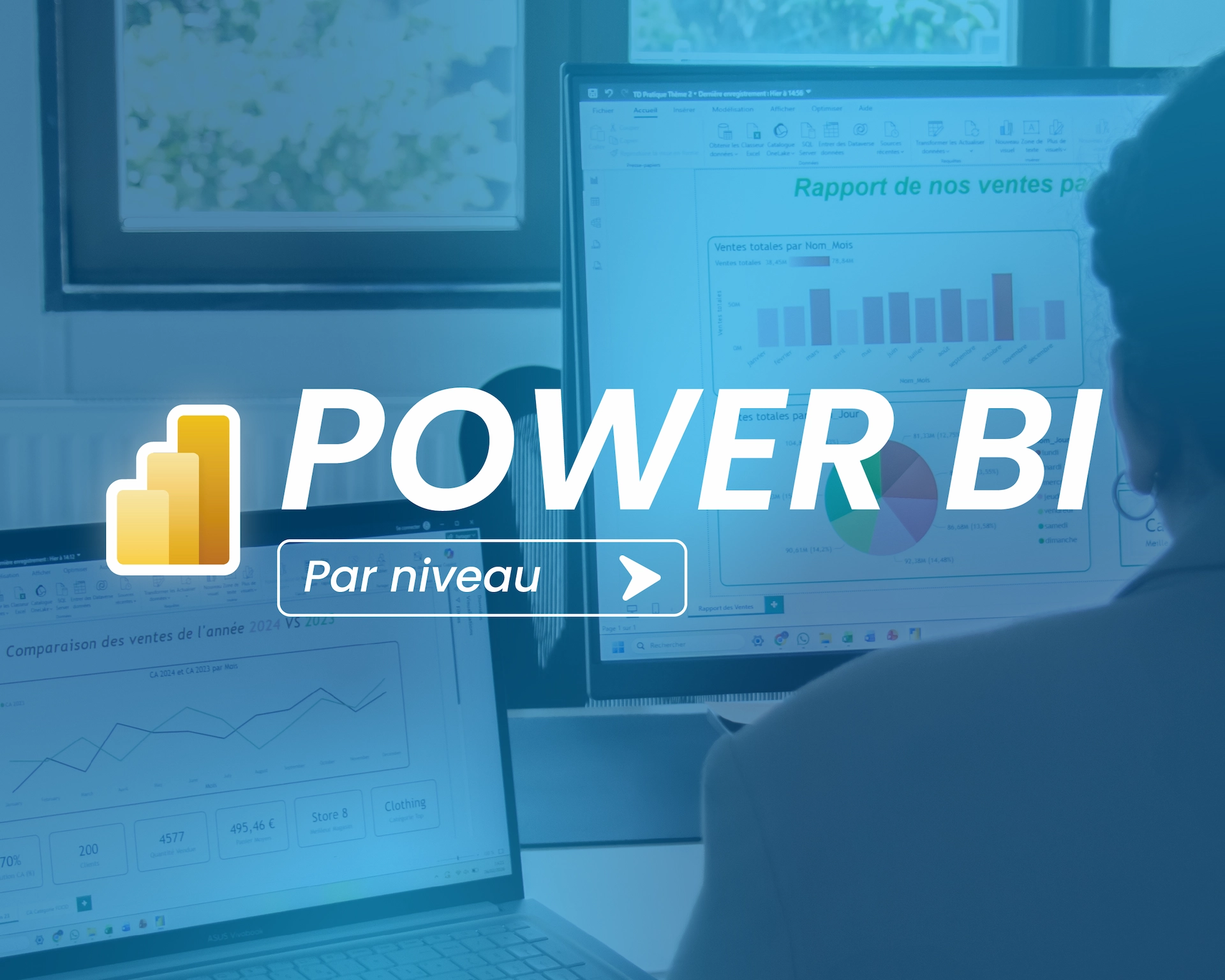 Visuels formation_Power BI par niveau